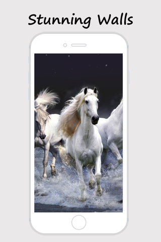 Horse Wallpapers and Backgrounds screenshot 3