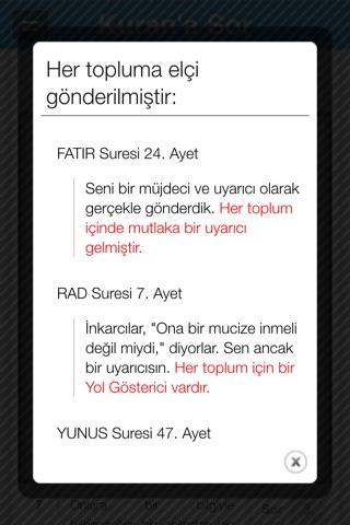 Kuran'a Sor screenshot 4