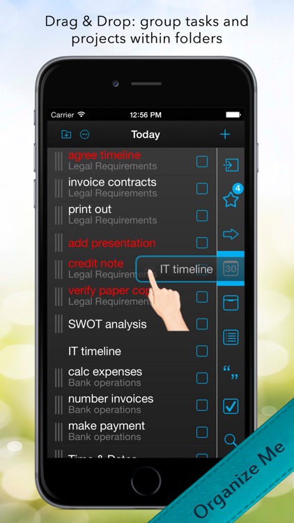 Organize Me for iPhone