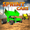 Raz Games - Sprint Car Dirt Track Game Free  artwork