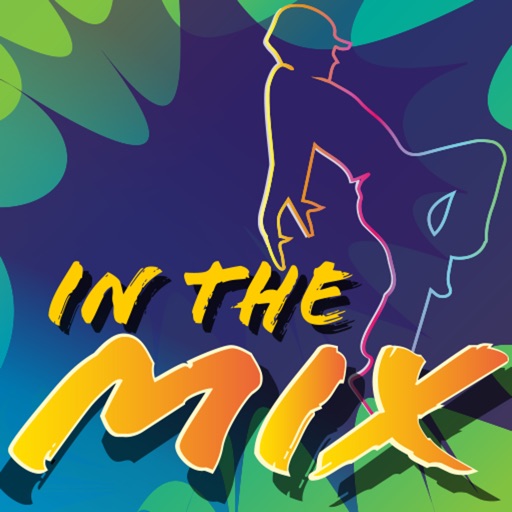 In The Mix Special Effects Music and Video Recording Studio
