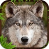 Wolf Simulator 3D Game