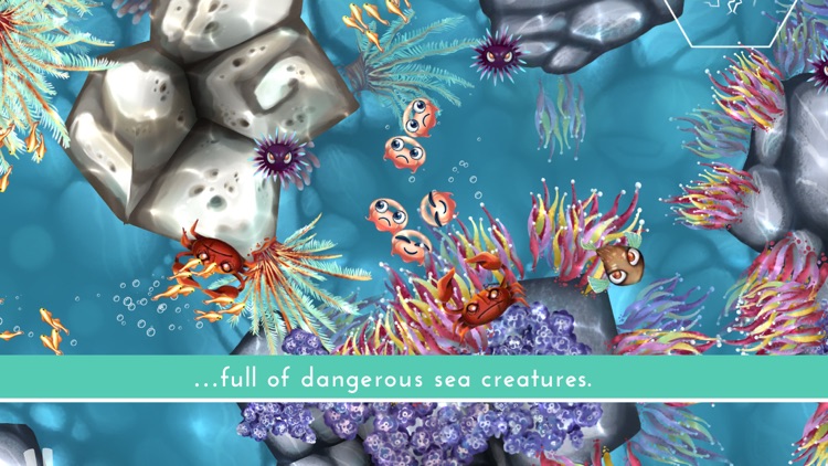 Jelly Reef