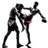 Muay Thai Video Lessons Pro