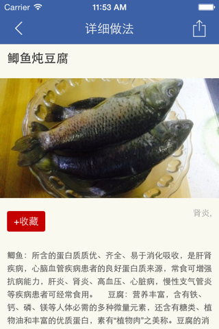 肾炎养生食疗百科 - 肾炎吃什么好~ screenshot 4