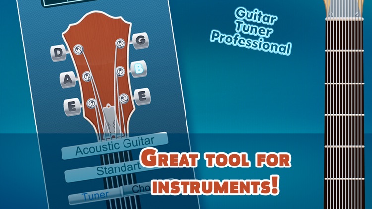 Guitar Tuner Professional Adv