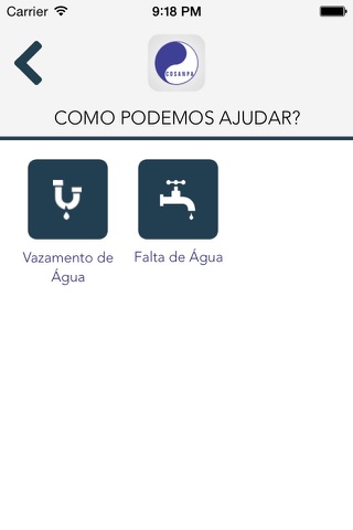 Governo Digital Pará screenshot 4