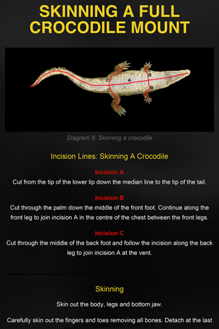 Skinning with Life-form Taxidermy screenshot 3