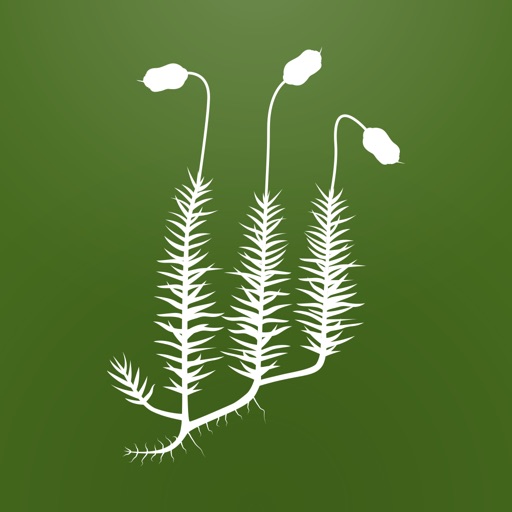 Biología - Plantas 2 icon