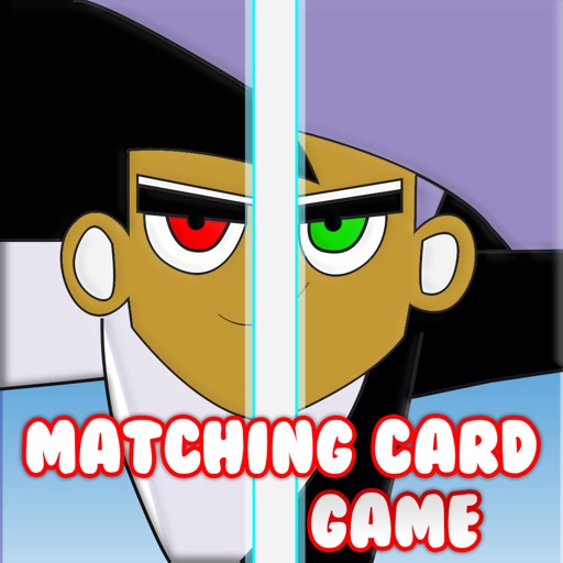 Cool Memo Matching Card Game Puzzle for Danny Phantom