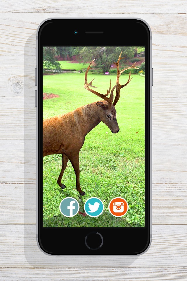 ZooKazam Free screenshot 3