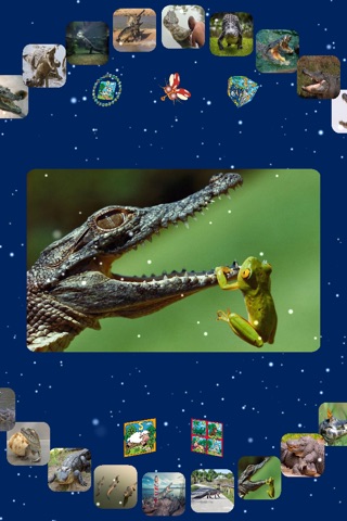 Crocodile - Photos, Diet & Behavior screenshot 3