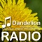 We stream great music from DandelionRadio