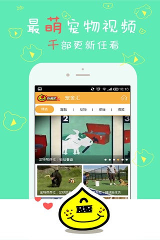 宠舍汇-买中国最好的血统宠物，全品种、资讯、娱乐、社交第一门户 screenshot 2