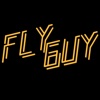 A Fly Guy