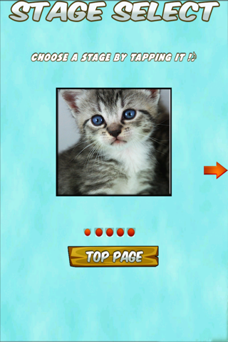 Kittens and Puppies Sliding Puzzle screenshot 2