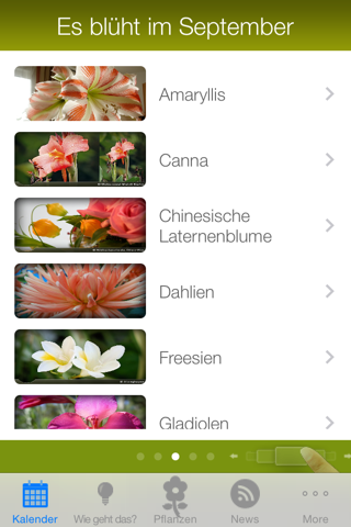Garten Kalender screenshot 4
