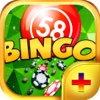 Bingo Elite PLUS - Play Online Casino and Daub the Card Game for FREE !