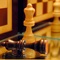 Whether you don't know how to play chess or you want to master all the strategies to defeat your opponents with this app you can begin and become master of this classic game