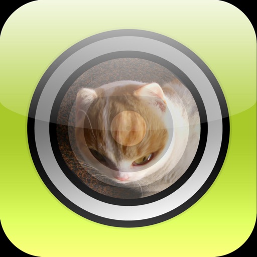 Fisheye Camera Lenses icon