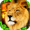Safari Simulator Lion