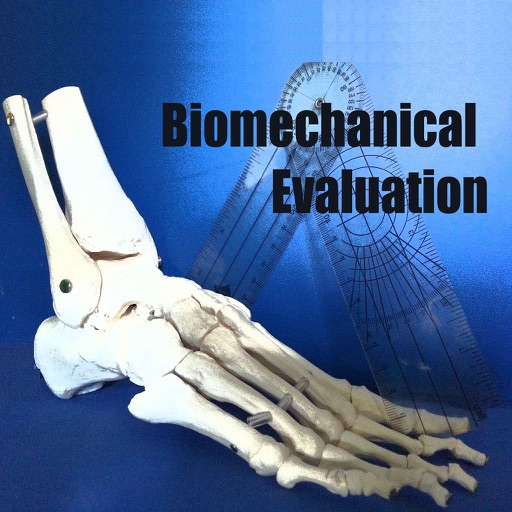 Biomechanical Evaluation icon