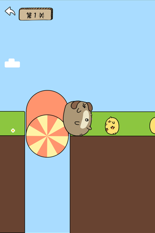 Rolling Animals screenshot 3