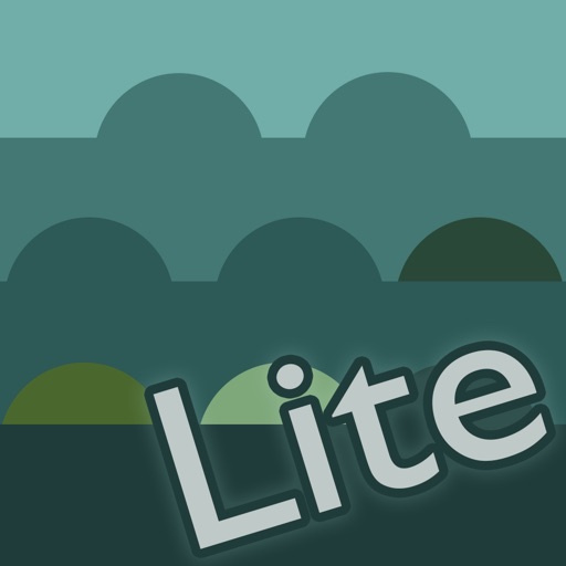 Lite app store