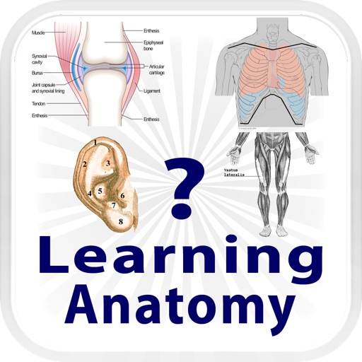 Learning Anatomy Quiz