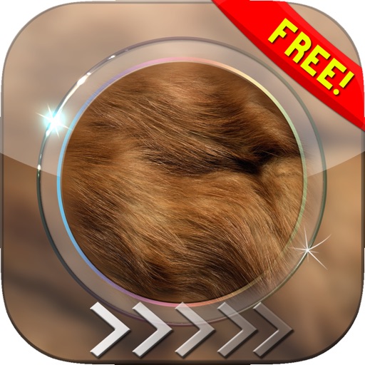 BlurLock – Animal Skins : Blur Lock Screen Photo Maker Wallpapers For Free icon