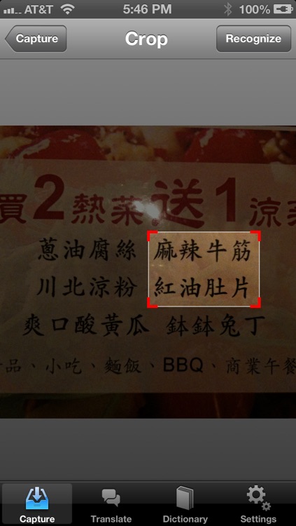 Blink! Pro - Voice and Photo Recognition & Translator screenshot-3