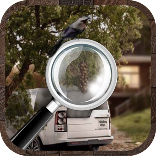 Hidden Objects??? iOS App