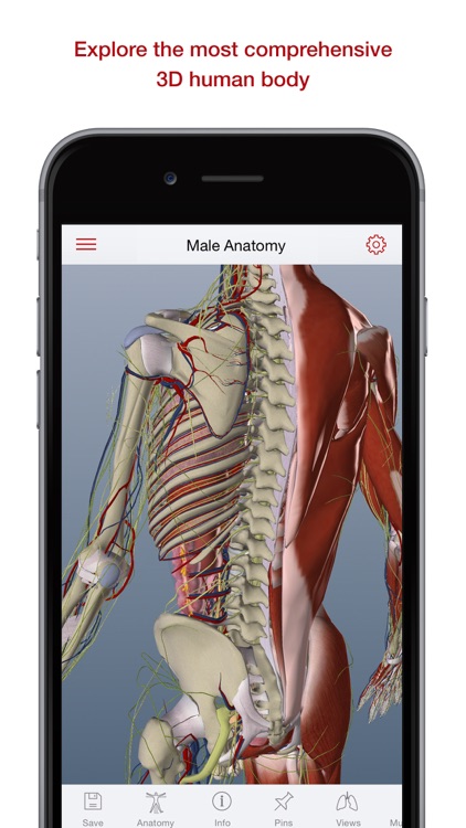 BioDigital Human: 3D Anatomy Explorer By BioDigital, Inc.