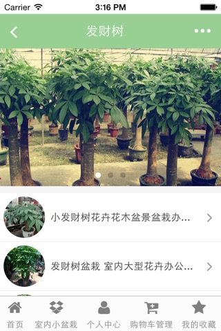 园艺绿化花木盆栽 screenshot 3
