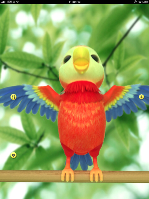 会说话的鹦鹉波利 talking polly the parrot hd free