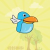 Splashy Bird Adventure Game