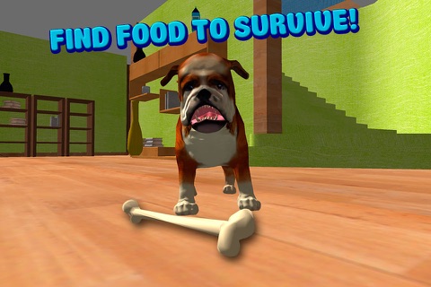 Dog Simulator 3D: House Crash Full screenshot 2