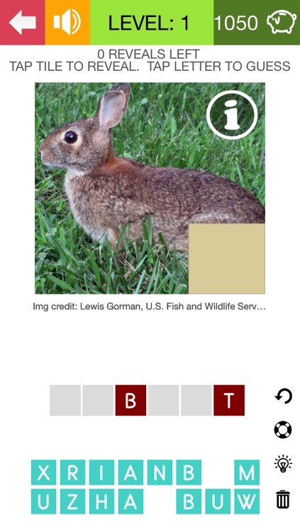 What's The Animal Name (100 Puzzles)