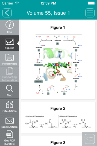 Israel Journal of Chemistry screenshot 3