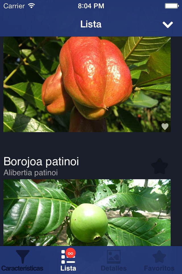 Exotic Fruit Guide screenshot 3