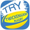 Twickenham Rugby Fan