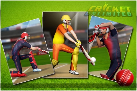 Cricket Unlimited Pro screenshot 3