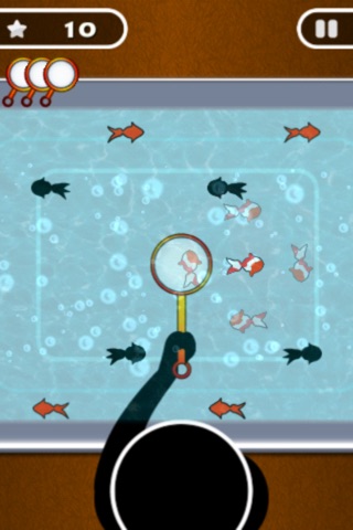 Endless Gold Fish Catch screenshot 4