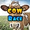 Cow Race
