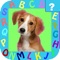 Zoo and Pet Animals Mania Pro - Kids Game - Safe App - No Adverts