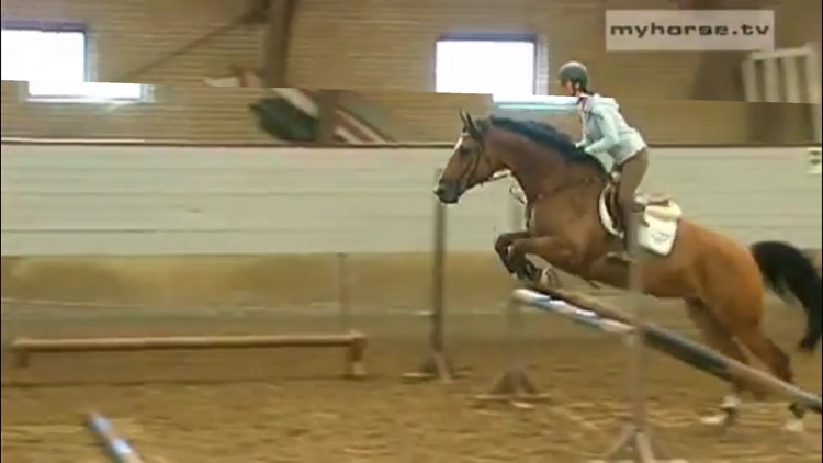 Horse Jumping Techniques