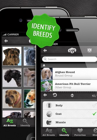 Dogs PRO - NATURE MOBILE - Dog Breed Guide and Quiz Game screenshot 2
