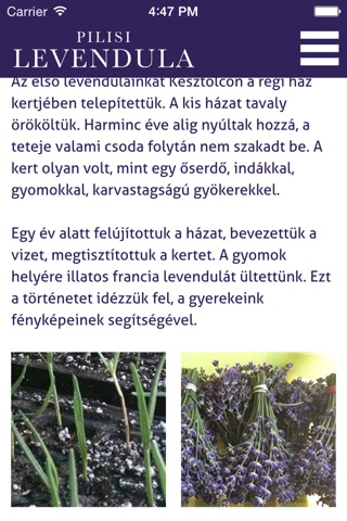 Pilisi Levendula screenshot 4