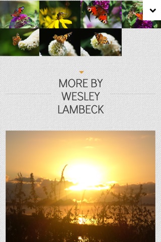 Wesley Lambeck Photography screenshot 2