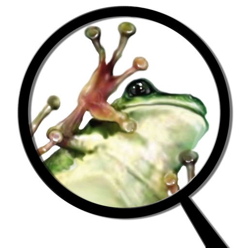 Froguts Frog Dissection for iPhone Icon